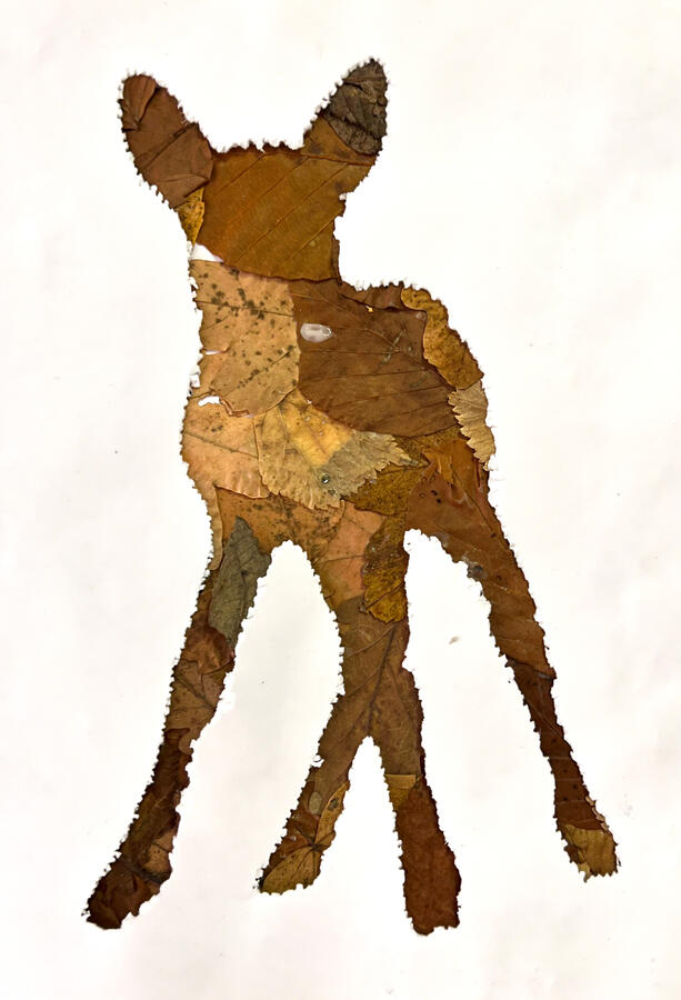 Untitled